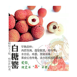白糖罌