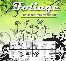 手繪優(yōu)雅植物花紋圖案Photoshop筆刷素材