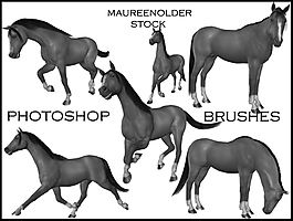 高達健壯的CG馬photoshop筆刷素材