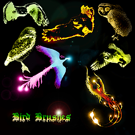 鳳凰、貓頭鷹photoshop筆刷素材下載
