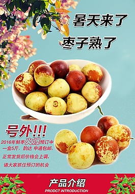 冬棗