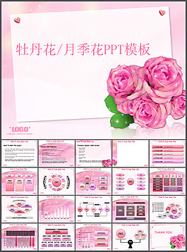牡丹花月季花PPT模板