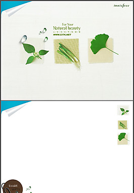 蔬菜植物韓國(guó)