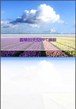 香草的天空ppt模板