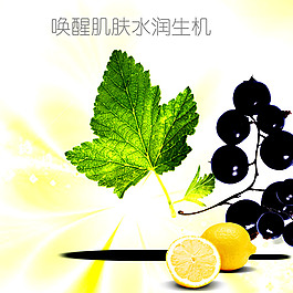 清新護膚品葉子背景圖