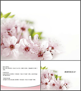 桃花ppt模板