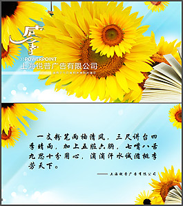 葵花朵朵-教師節(jié)PPT模板