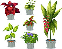 綠色植物
