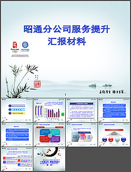 工作匯報(bào)(1)