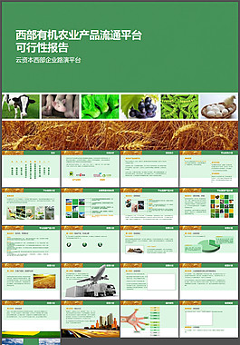 農(nóng)業(yè)產(chǎn)品ppt下載