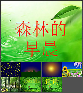 森林的早晨