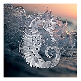 海马造型Photoshop笔刷下载