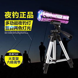 藍白兩色夜釣燈