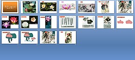 花卉中國(guó)畫美術(shù)ppt課件