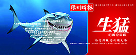 生猛的鯊魚