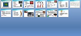 醫(yī)學(xué)微生物學(xué)課件