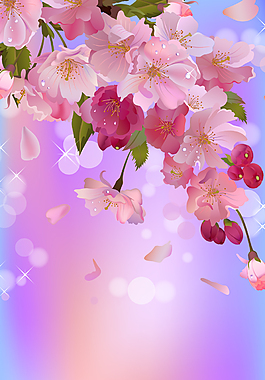 精美花儿背景展架模板设计画面素材