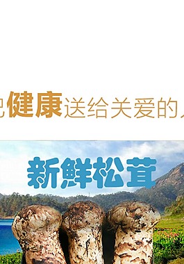 鮮品松茸