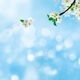 小清新藍(lán)色花朵春季背景
