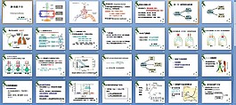 生理病理學(xué)肺功能不全課件