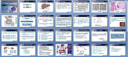 生理病理學肝功能不全課件