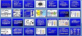 B細(xì)胞應(yīng)答課件
