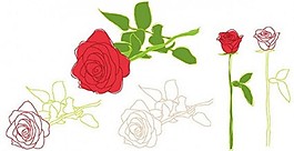 玫瑰花叶轮廓