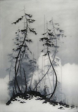水墨 杉树