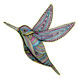 蜂鳥(niǎo)插畫(huà)設(shè)計(jì)