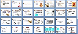 婦產(chǎn)科-產(chǎn)道異常課件