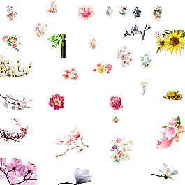 花朵素材PSD