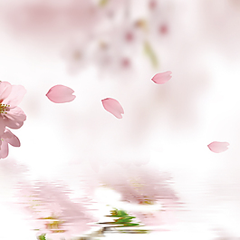 清新花朵背景