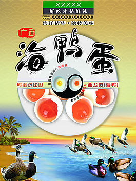 海鴨蛋禮盒 海水 飛鴨蛋 海鴨蛋背景