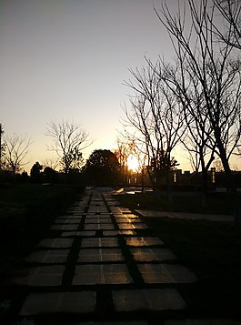 日落