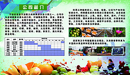 水果公司