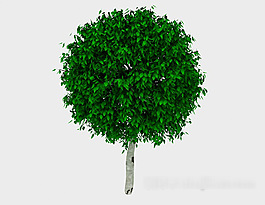 圓形綠樹3d模型下載