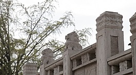 橋上小獅子