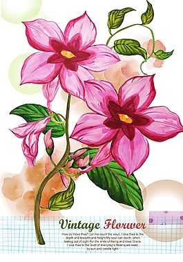 手繪 花
