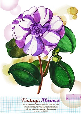 韩式小清新手绘紫色白色花