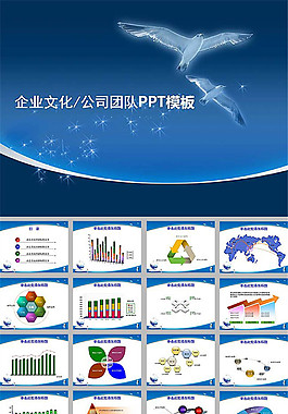 公司團(tuán)隊(duì)企業(yè)文化ppt模板