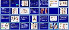 內(nèi)臟神經(jīng)