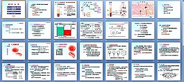 人體生理學課件下載-血液課件