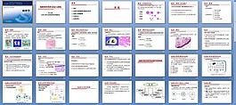 細(xì)胞和組織的適應(yīng)與損傷課件