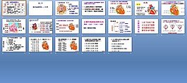心臟-ppt人體解剖學(xué)課件