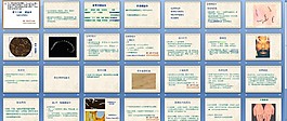 螺旋體