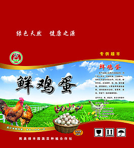笨雞蛋盒