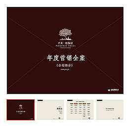 年度營銷方案ppt模板下載