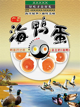 海鴨蛋宣傳海報設計psd素材
