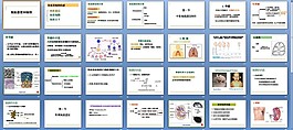 免疫器官和组织ppt
