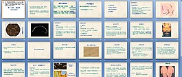 螺旋體
